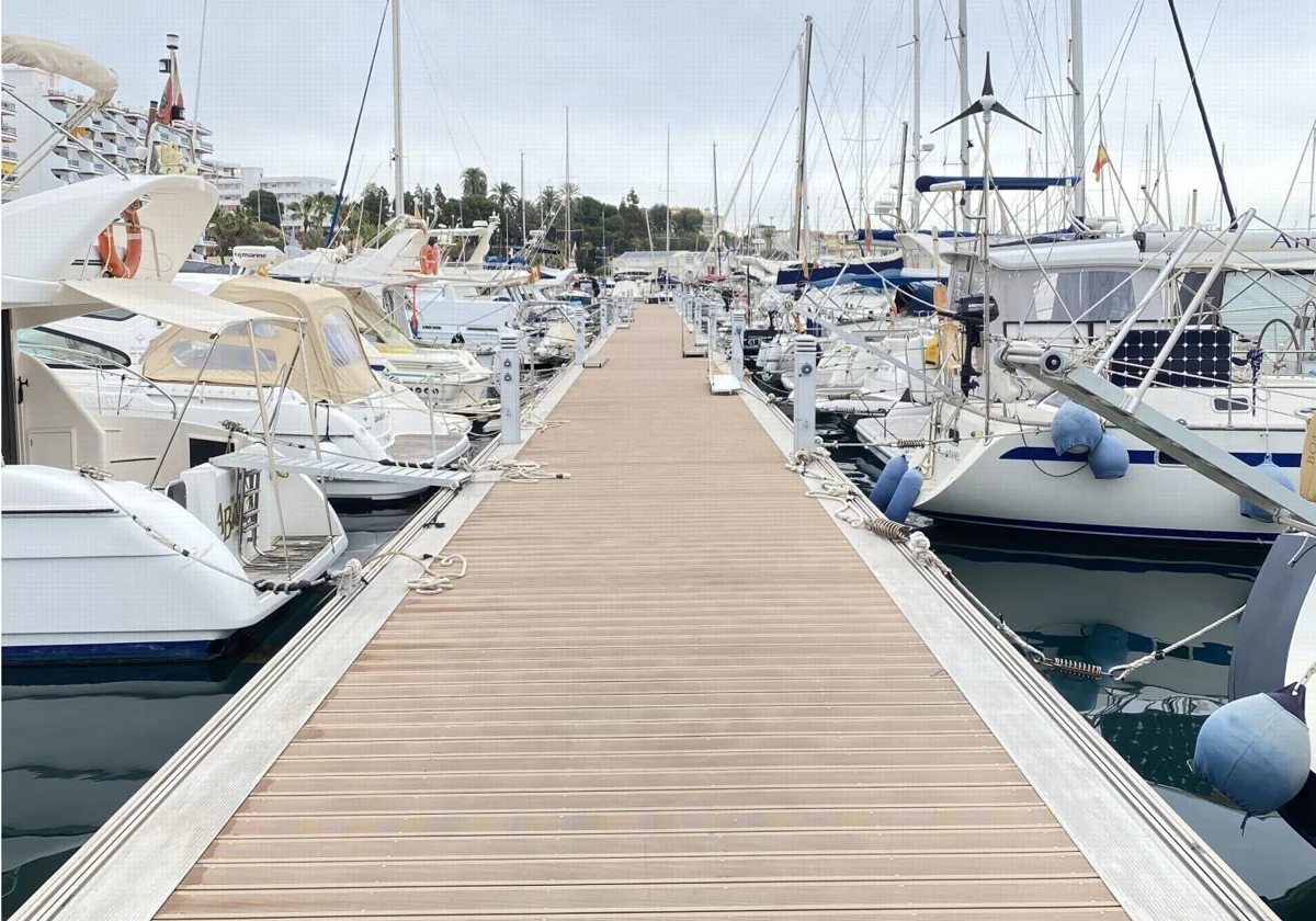 El Club Nàutic La Vila Joiosa impulsa un proyecto pionero para la recuperación de la biodiversidad marina – ABC