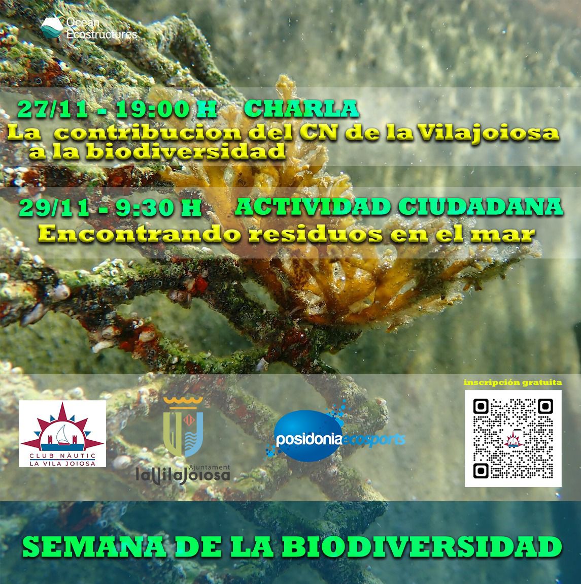 Semana por la Biodiversidad Marina en el Club Nàutic La Vila Joiosa